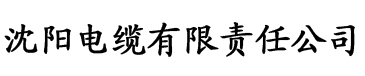 丨国产丨精品综合天天电缆厂logo